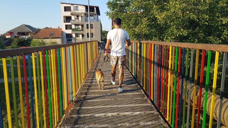 Podul de la Uzina de Apă a prins culoare FOTO