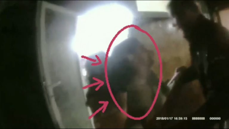 Jandarmeria Timiș la datorie VIDEO