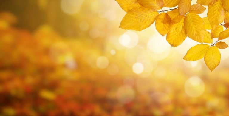 Frig în toată ţara, temperaturile minime coboară până la 0 grade