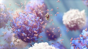 Vești bune înainte de începerea școlii: Varianta Delta nu produce cazuri grave în rândul copiilor şi adolescenţilor