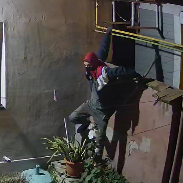 Atenție! Un individ înarmat cu o bâtă a intrat în curtea unei case din Timișoara