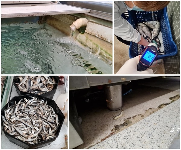 245491493_936425930291459_2636078352372230276_n