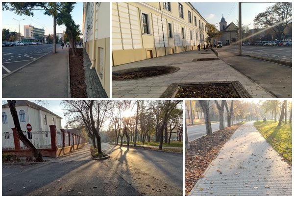 256409978_442816620708076_7505853731880400142_n