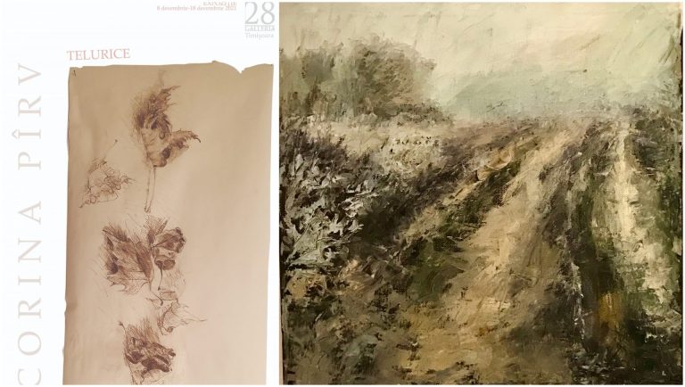 Pictura șoptită a Corinei Pîrv