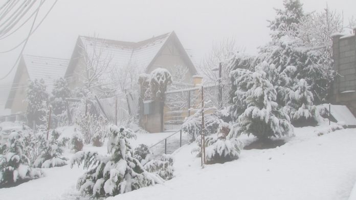 271209075_451092936494635_542027671190471804_n