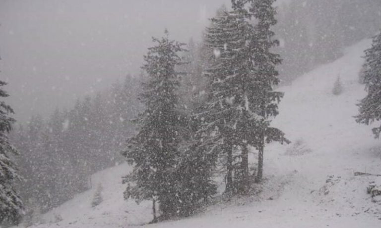 Se anunță viscol și ninsori abundente în vestul țării