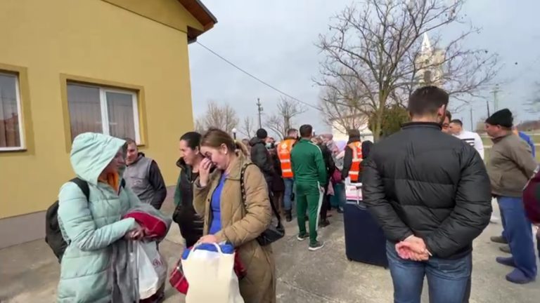 Peste 70 de refugiați din Ucraina au ajuns în Timiș FOTO-VIDEO
