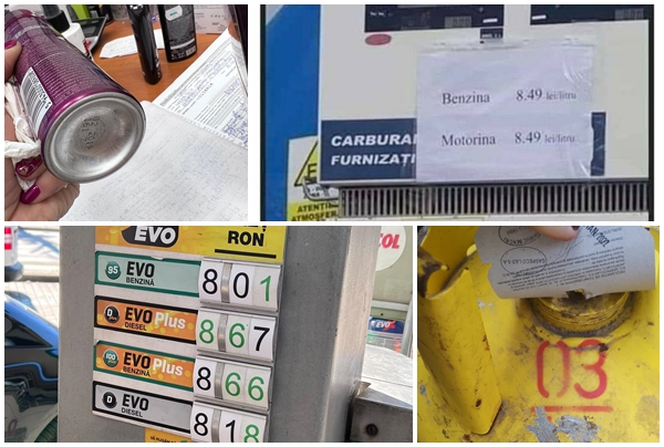 276025631_517049096451414_5766582791610327816_n