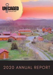 Uncaged, raport anual pe 2020, fără acces la datele financiare