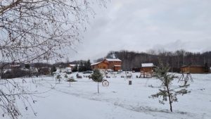 Butterfly Sanctuary, ianuarie 2022 / Sursa foto: Pagina oficială Uncaged