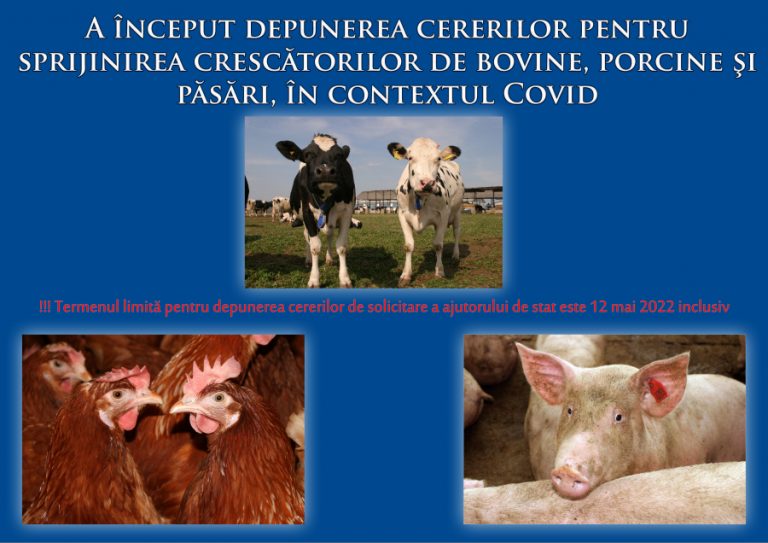 A început depunerea cererilor pentru sprijinirea crescătorilor de bovine, porcine şi păsări, în contextul Covid