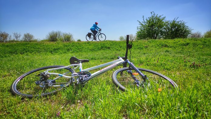 bicicleta eco timis 2