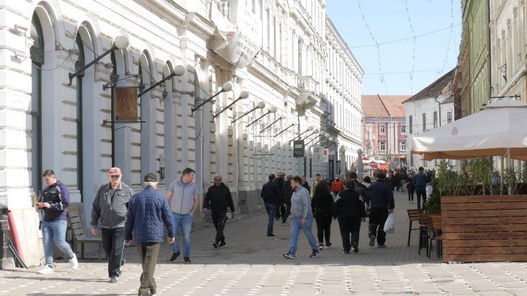Aproape 100.000 de timișoreni s-au autorecenzat