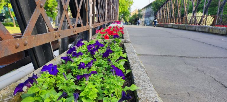 Podul de Fier, nereabilitat, dar înfrumusețat cu flori FOTO