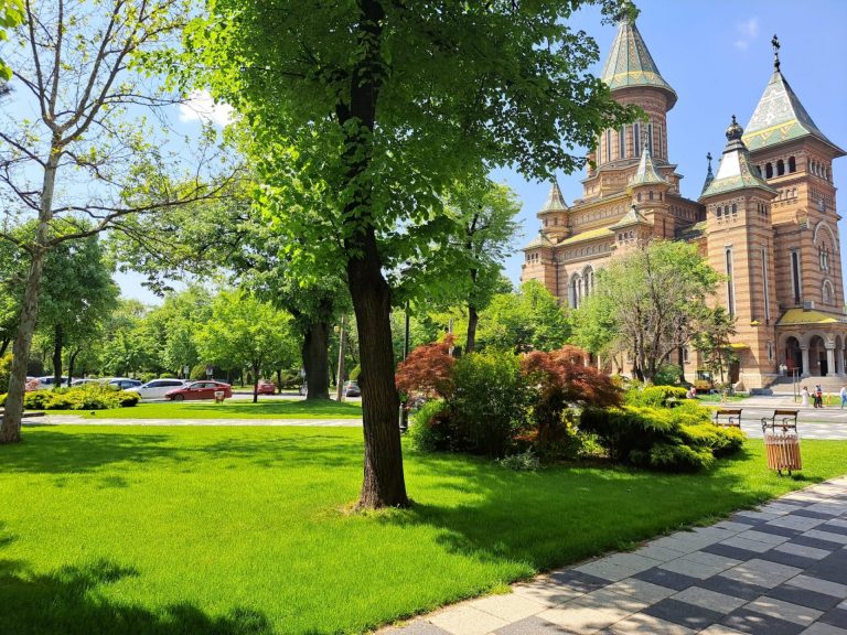 100 de oameni taie iarba din Timișoara. PMT a cerut prelungirea programului