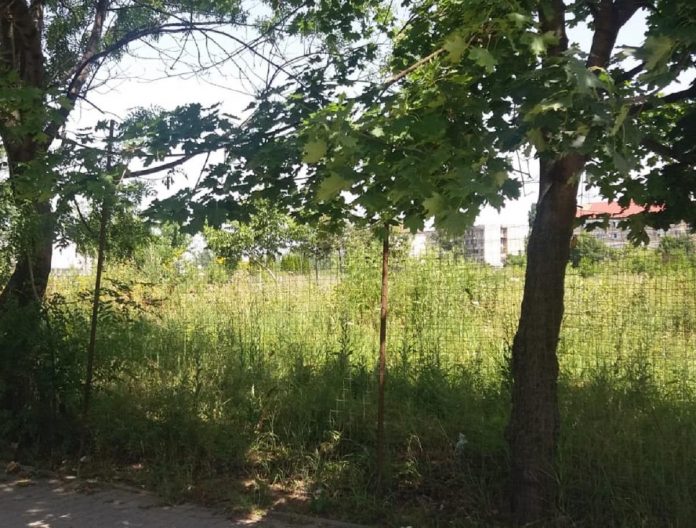 280382230_976077579717938_8726898682065639648_n