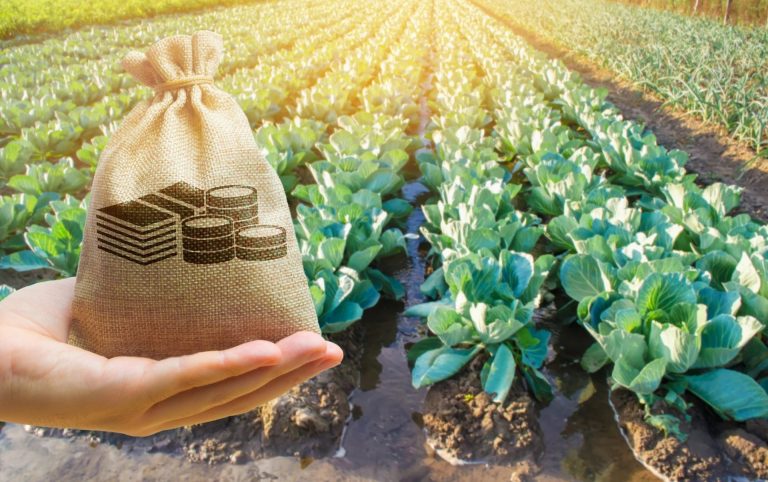 Clarificări privind împuternicirea notarială pentru măsura „Microgranturi în domeniul agroalimentar”