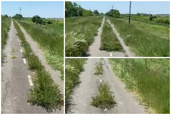 Pista de biciclete spre Serbia, junglă urbană. Cine o administreză VIDEO