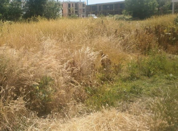 received_946802795984609