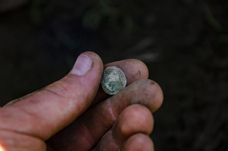 Comoară din monede de argint descoperită la Găvojdia
