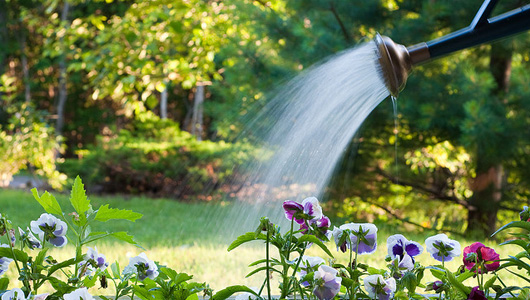 Apa potabilă nu este pentru udatul grădinilor