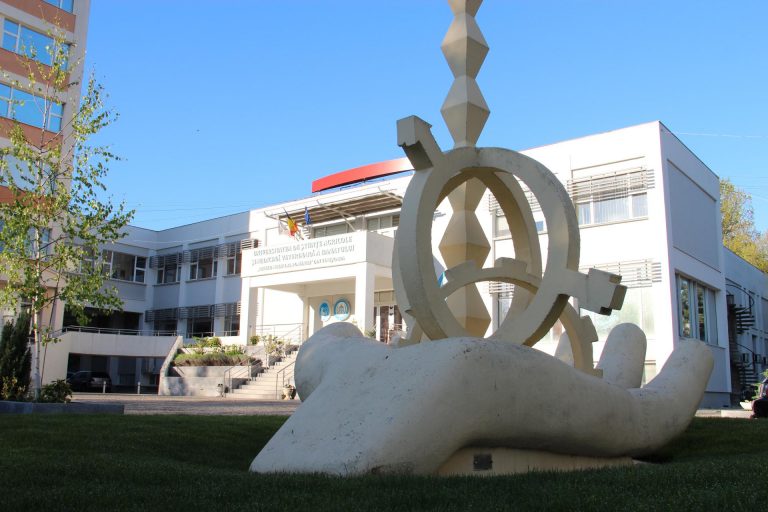 Studenți din peste 30 de țări vor da admitere la o mare universitate timișoreană
