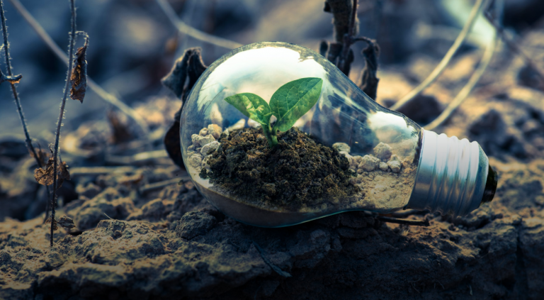 VIDEO 400 de miliarde de euro/an trebuie cheltuite în UE pentru trecerea la energie verde