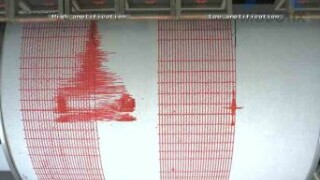 Cutremur resimțit serios în Timișoara!