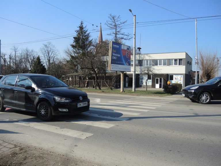 Doi consilieri USR Dumbrăvița vor să pună capăt accidentelor rutiere din localitate