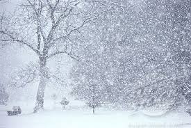 Unde va ninge în Banat! Meteorologii anunță că jumătate din țară va fi acoperită de zăpadă până luni