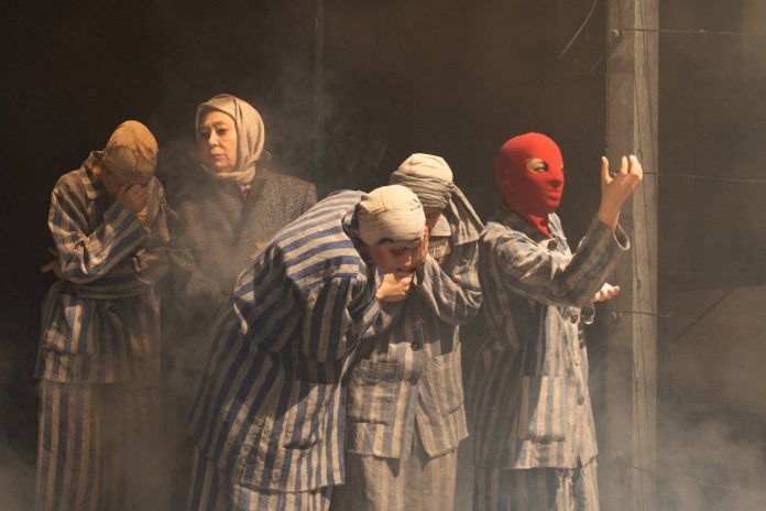 Foto Ovidiu Zimcea 1