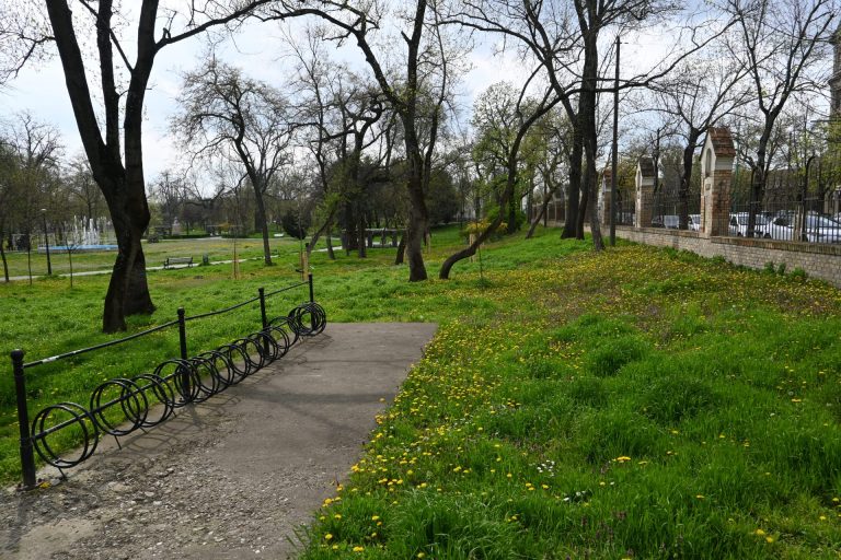 Ample acțiuni de curățare și îngrijire a parcurilor din Timișoara
