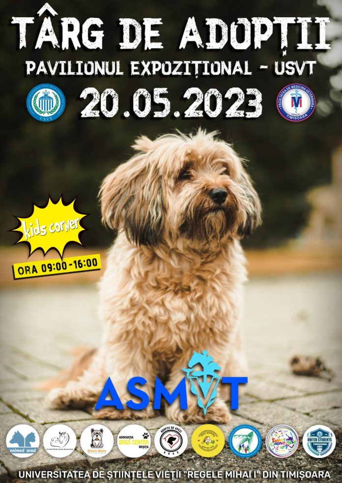 PHOTO-2023-05-12-17-34-00