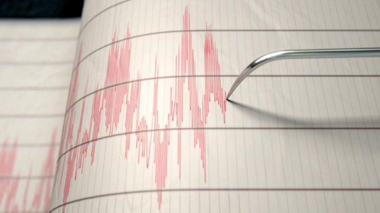 Cutremure resimțite puternic în Arad, Deva și Timișoara