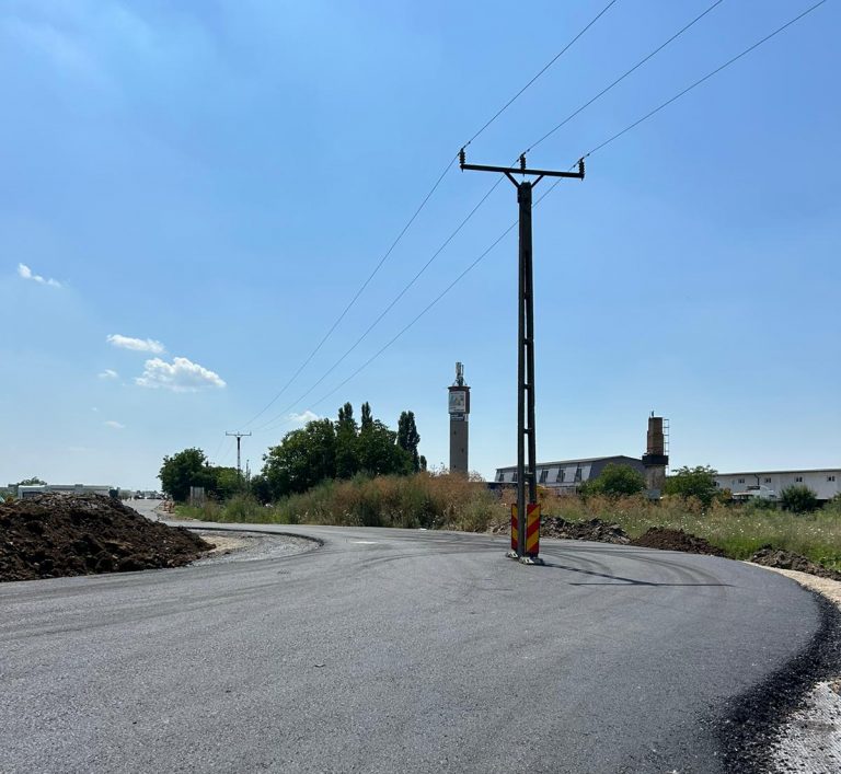 Un lider al USR Timiș îl ia în balon pe șeful CJT, Alin Nica! ,,Alin Nica a uitat stâlpul în drum!”