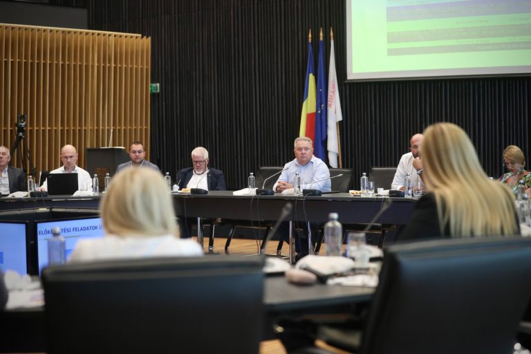 Consiliul Județean Timiș țintește reconstrucția podului peste Mureș