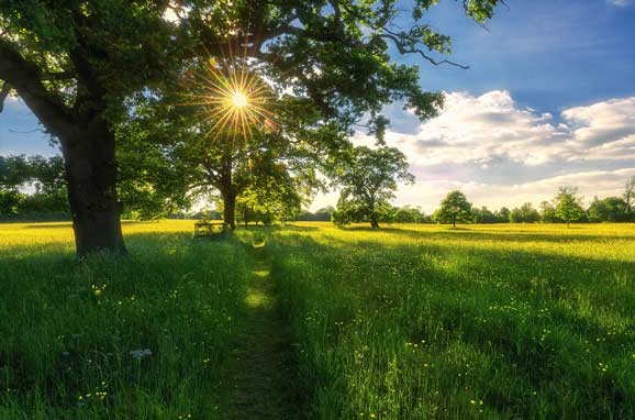 Cum va fi vremea în Banat în următoarele ore