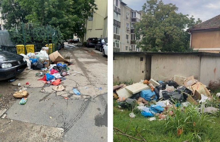 Acțiuni pe linie de mediu ale polițiștilor locali – amenzi de 63.500 lei în ultima săptămână, pe linie de abandon deșeuri, șantiere, necolectare selectivă, ambrozie