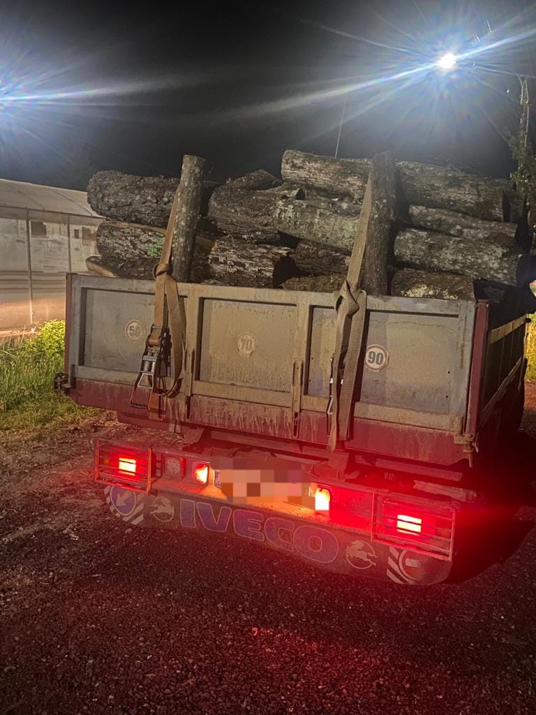 Transport ilegal de material lemnos identificat de jandarmii Grupării Mobile Timișoara
