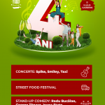 Aniversare_PicnicInMyTown_4ani_1080x1920