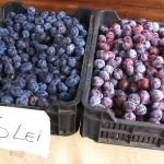 Toamna a venit cu ale sale roade bogate!.Still061