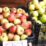 Toamna a venit cu ale sale roade bogate!.Still062