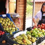 Toamna a venit cu ale sale roade bogate!.Still075