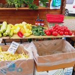 zacusc piată agronomie legume fructe (34)