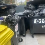mizerie gunoaie deșeuri (2)