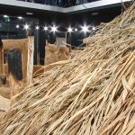 De Ziua Națională a Culturii, elevii din Parța, dar și din Timișoara au vizitat replica sanctuarului neolitic de la Parța.Still017