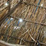 De Ziua Națională a Culturii, elevii din Parța, dar și din Timișoara au vizitat replica sanctuarului neolitic de la Parța.Still019