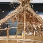 De Ziua Națională a Culturii, elevii din Parța, dar și din Timișoara au vizitat replica sanctuarului neolitic de la Parța.Still021