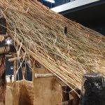 De Ziua Națională a Culturii, elevii din Parța, dar și din Timișoara au vizitat replica sanctuarului neolitic de la Parța.Still033