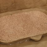 De Ziua Națională a Culturii, elevii din Parța, dar și din Timișoara au vizitat replica sanctuarului neolitic de la Parța.Still046